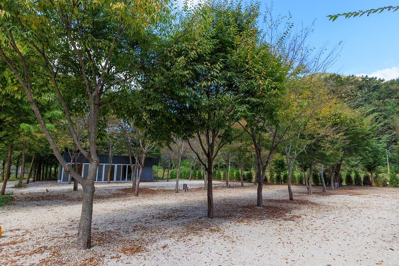 금산 자연 오토캠핑장 시설 사진 9