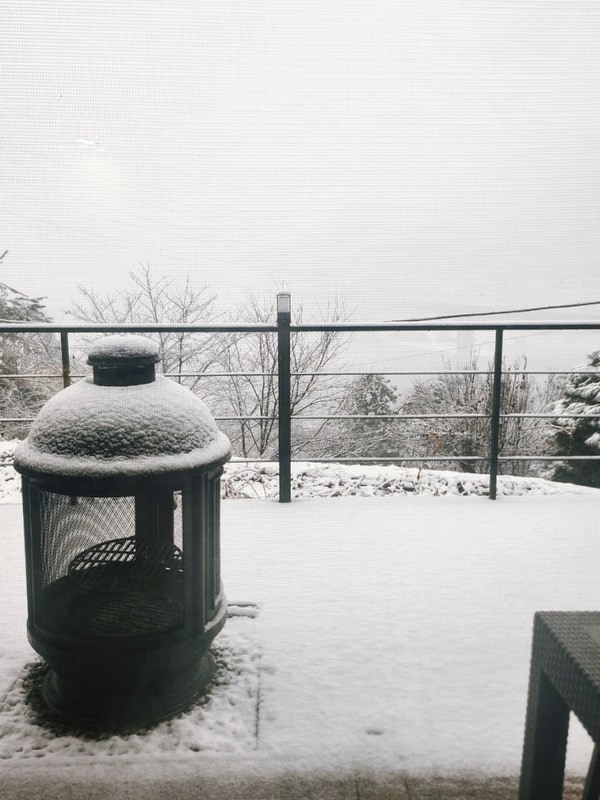 <양평-펜션> 캠핑장과 펜션이 함께있는 약수동산, 그리고 양수리...