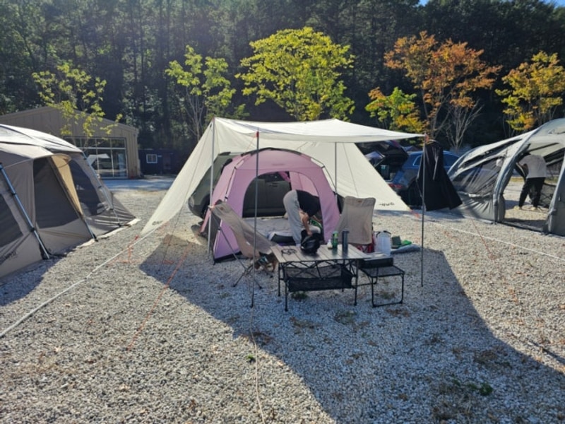 포천 캠핑장 포레스트사운드 캠핑장 가을캠핑 솔직후기...