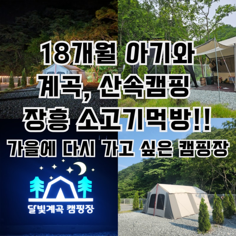 [19th] 가을에 다시 가고 싶은 장흥달빛계곡캠핑장, 18개월...