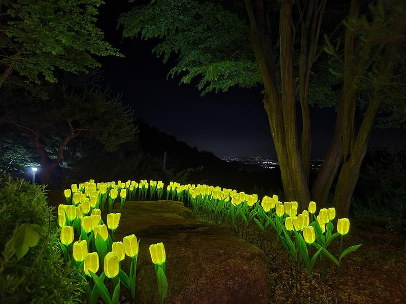 천지 글램핑 시설 사진 42