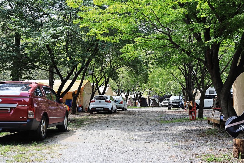 물동네 힐링 야영장 시설 사진 13