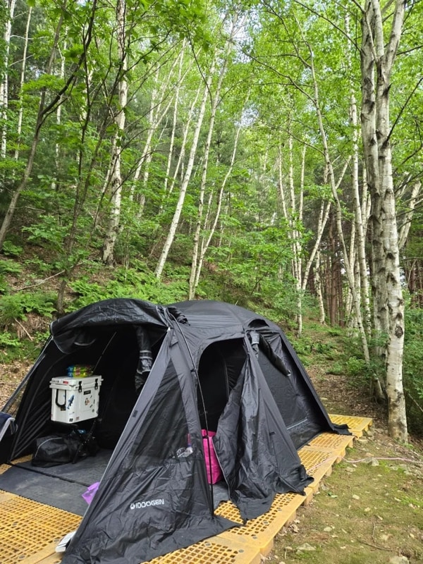 [강원도 횡성_동그라미 캠핑장] 정겹고 동글한 캠핑장 (Ft....