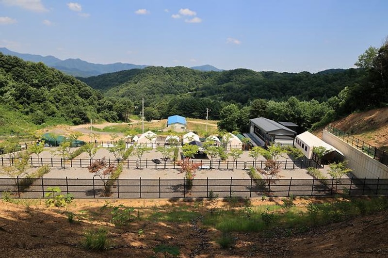 숲속에햇살캠핑장 대표 사진