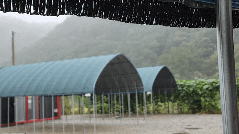 가평 물멍캠프 에서 또중캠핑을