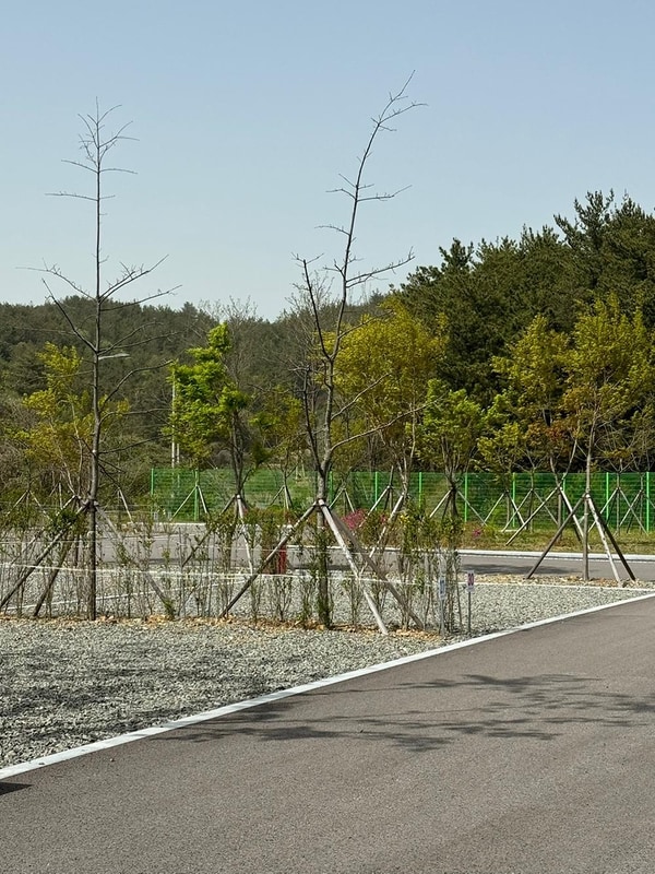 별천지 캠핑장 시설 사진 2