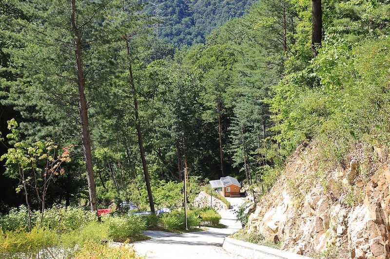 하추자연휴양림 야영장 시설 사진 5