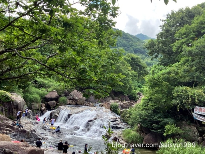 [산청 여행] 2024.7.31. 계곡에... 지리산365오토캠핑펜션에서...