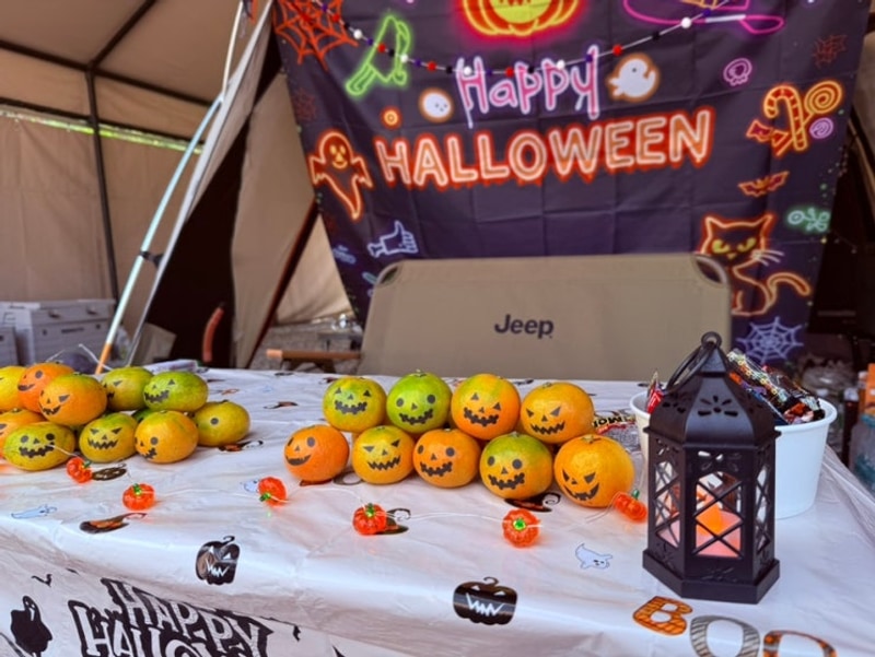 [충북/괴산] 키즈캠핑장 "원더포레스트"  할로윈캠핑 D3 사이트...