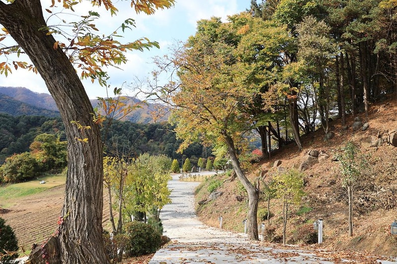 금동휴양림캠프3 시설 사진 5