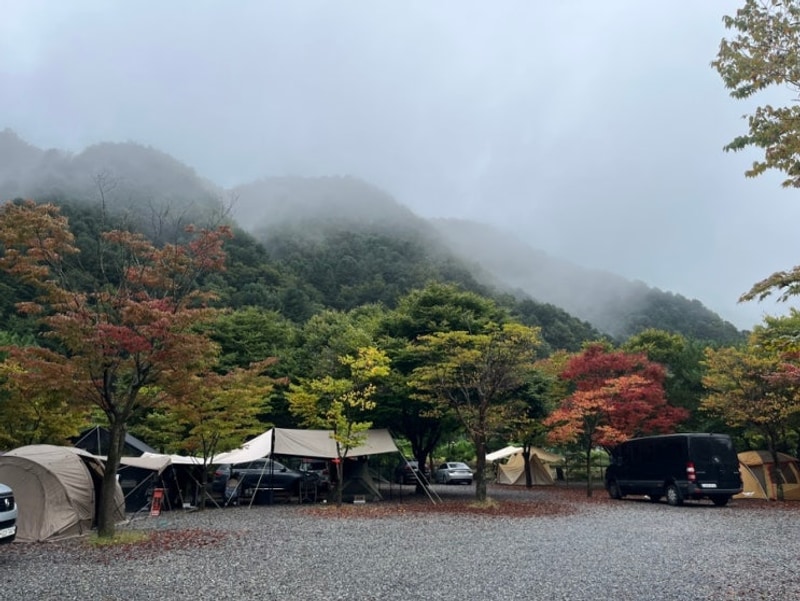 [가평] 유명산 근처 가평 홀리데이 캠핑장 10월 우중 캠핑 후기