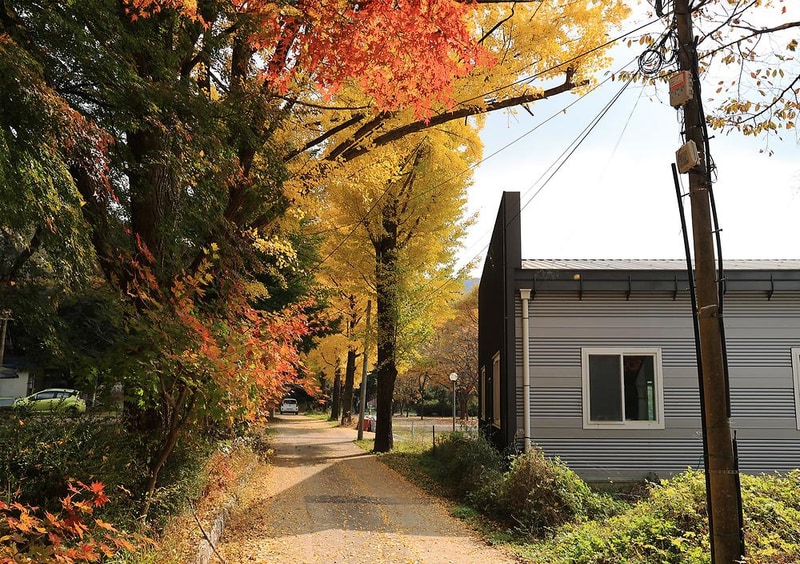 일영Star캠핑장 시설 사진 9