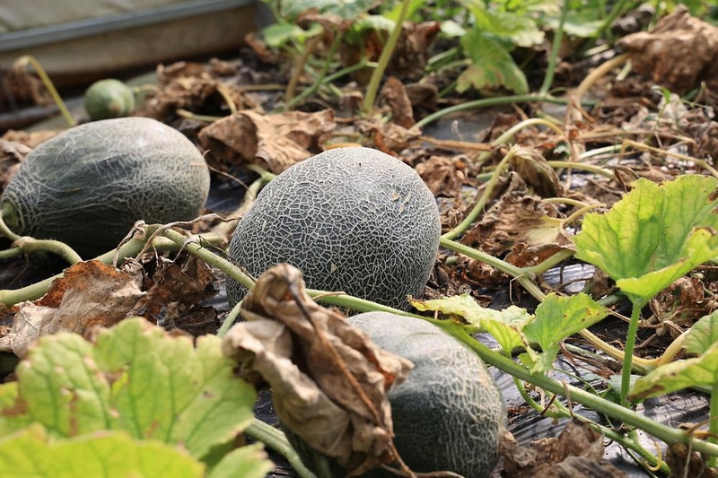 양명힐링캠프 시설 사진 7