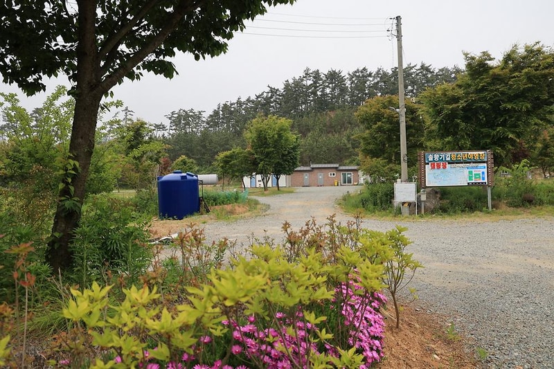 솔향기길야영장 시설 사진 13