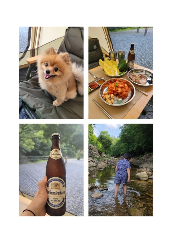 ok   문경  리우캠핑장 /아이,반려견과 함께 ❤️