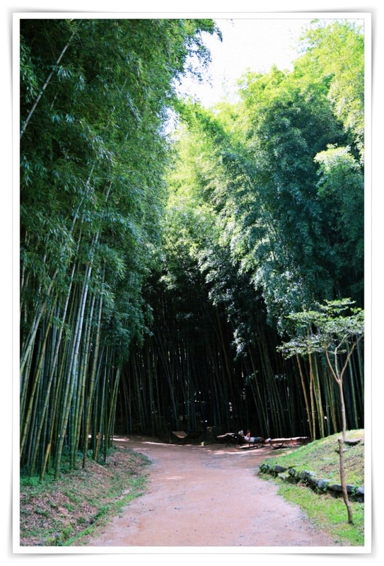 포천백운계곡캠핑장 매점 이용 꿀팁과 주변 편의시설 탐방기