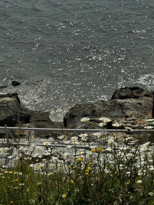 고창 보다더캠핑 캠핑장이다(몽벨 문라이트 캐빈4)