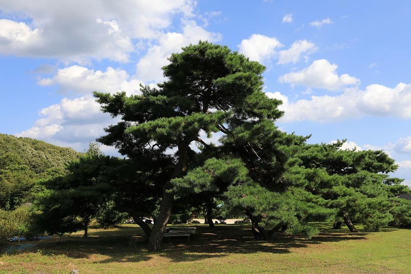 휴힐링 시설 사진 4