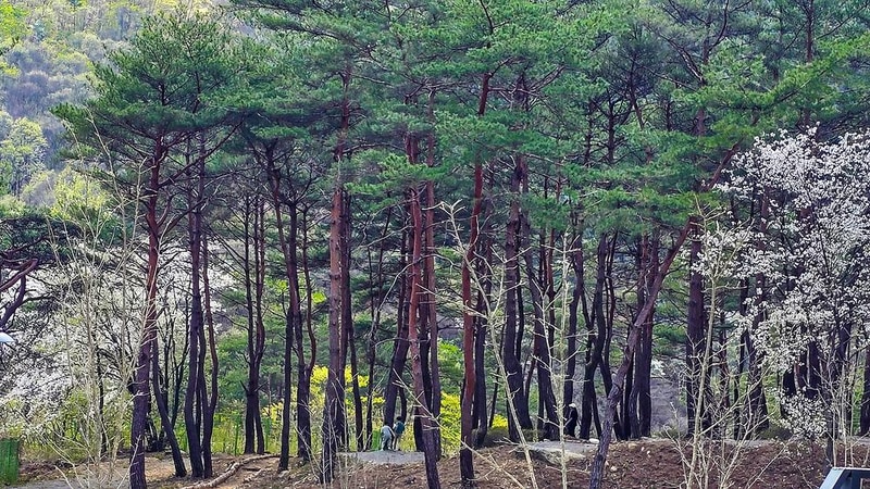 STX오토캠핑장 시설 사진 12