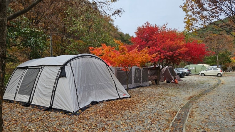 11.07 ~ 25.11.09 경북 문경 숲이조아 오토캠핑장