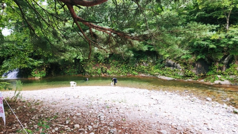 222nd '25년 여름 휴가 4편(홍천 용오름 캠핑장 오-감자 페스타)