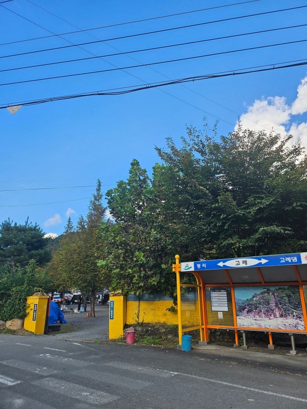 밀양댐스쿨캠핑장 할로윈캠핑솔직후기