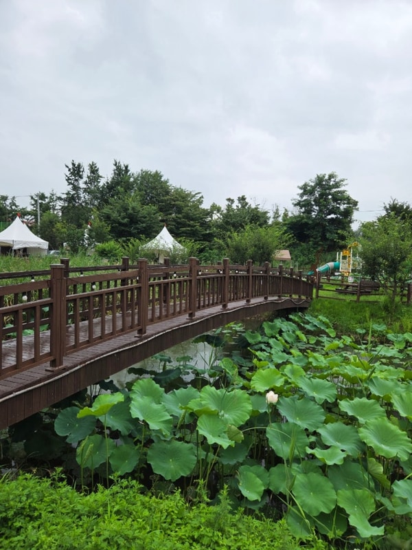 구리 토평가족캠핑장 이지바베큐 후기