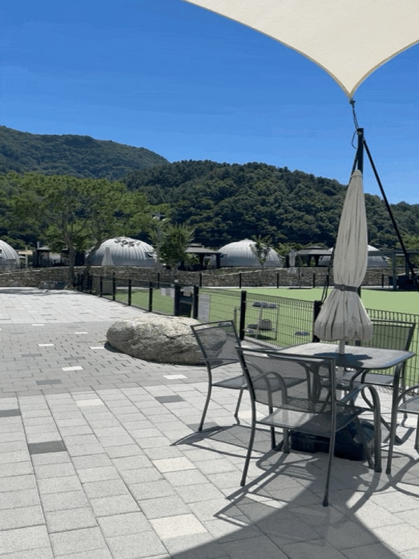 가평 애견동반 카페 캠핑장 아워포레스트