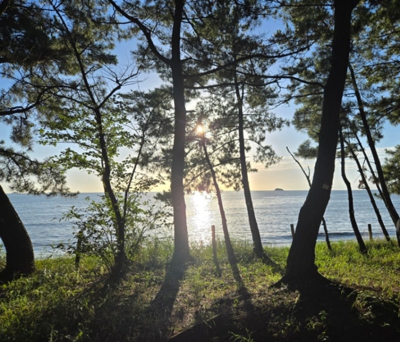 바다가 보이는 캠핑장! 서천 장항 오토캠핑장 :) 12번 데크 후기