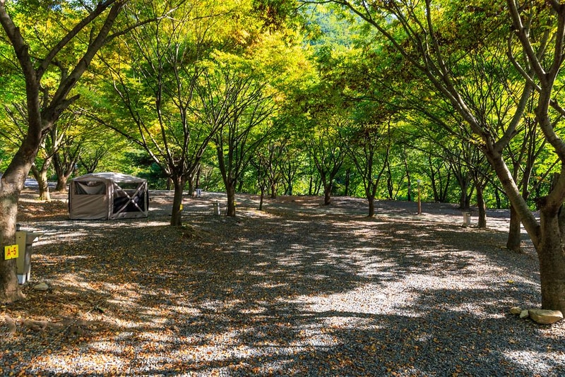 약초농원 캠핑장 시설 사진 10