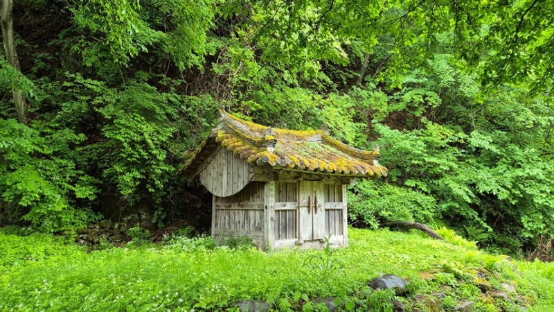 태백산 아주깔끔한 휴양림 - 태백고원자연휴양림 캠핑