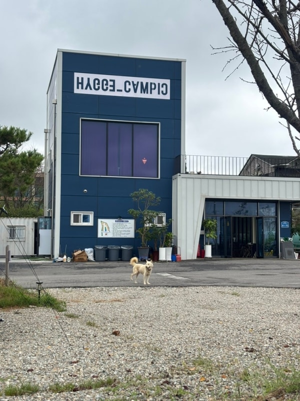 캠핑 3-2. 화성 휘게캠피크 (9월, 9/12~9/14, 2박, 우중캠핑)