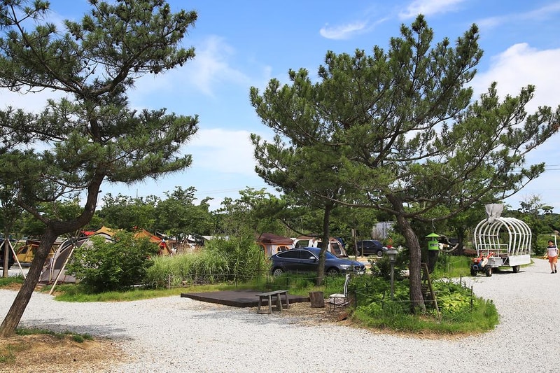 강화고인돌 캠핑장 시설 사진 34