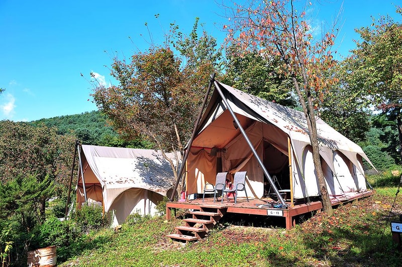 유식물원 관광농원 시설 사진 4