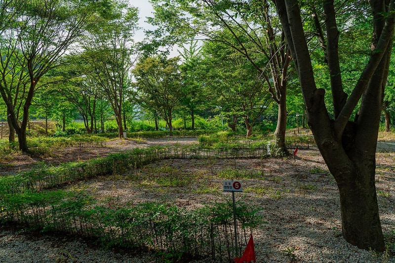 가리왕산 정원 캠핑장 시설 사진 26