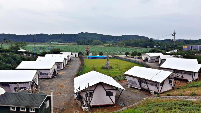태안 안면도 비비애견동반캠핑장 시설 사진 15