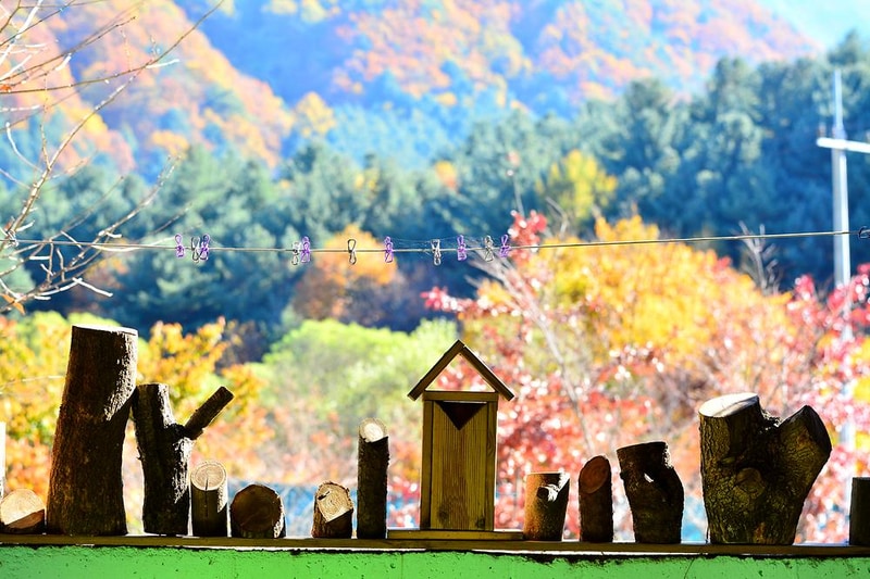 둥지캠핑장 시설 사진 5