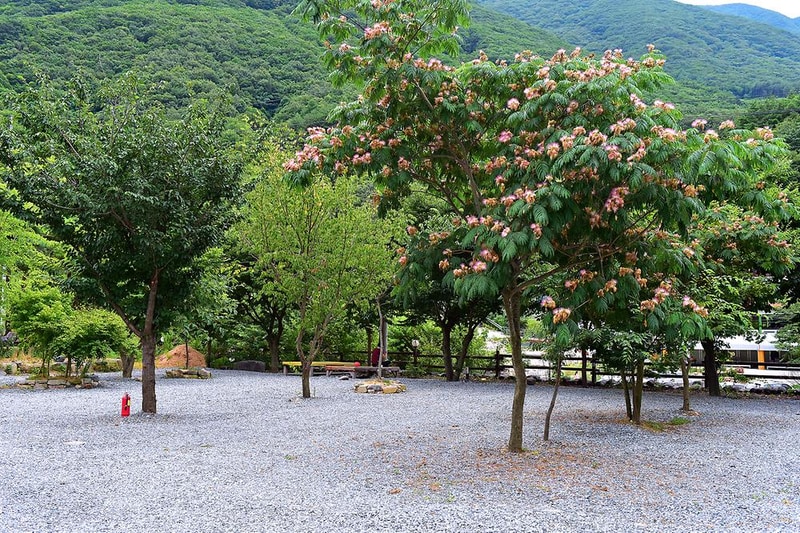 향림오토캠핑장 시설 사진 5