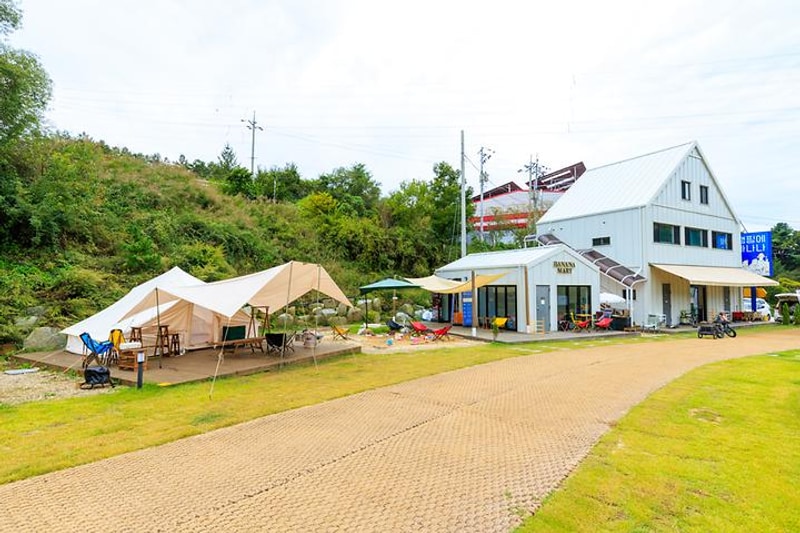 캠핑에 바나나 대표 사진