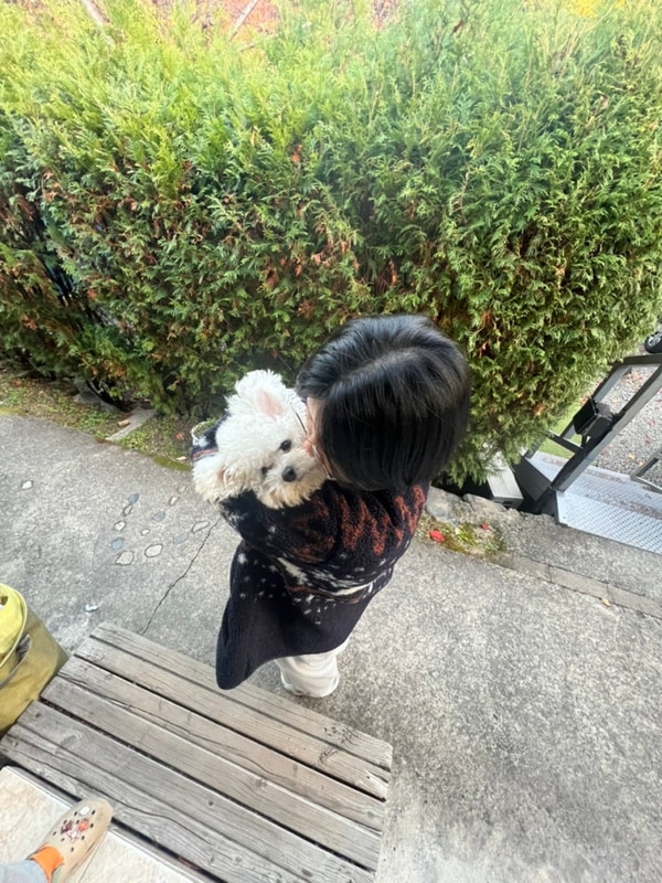 밀양 알프스 캠핑장