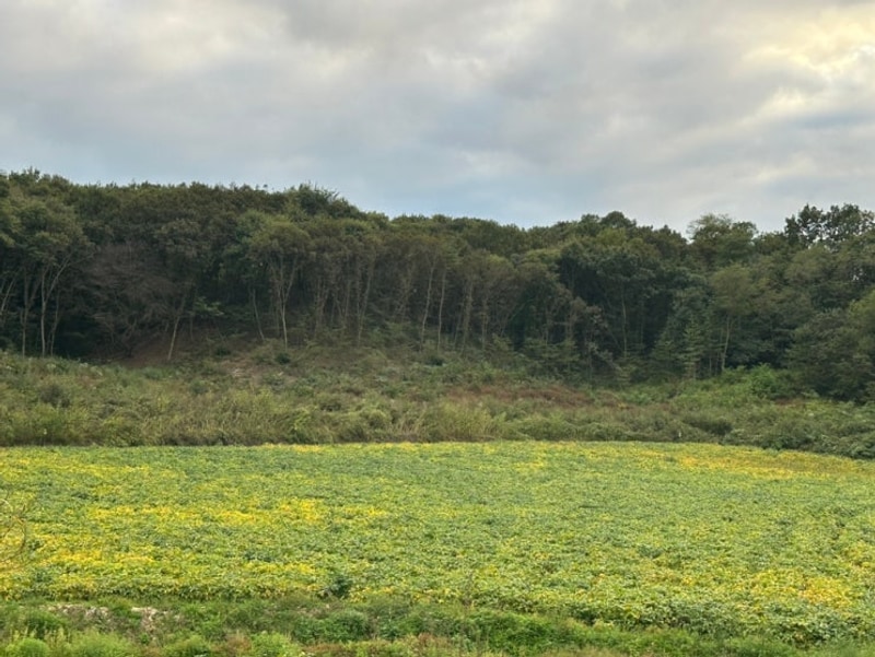 파주 마실 캠핑장 프리미엄 카라반 후기