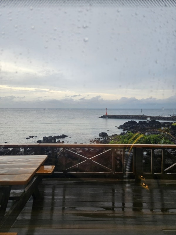 야구(제주플래티늄카라반, 국수마씸, 제주공항, 김포공항...