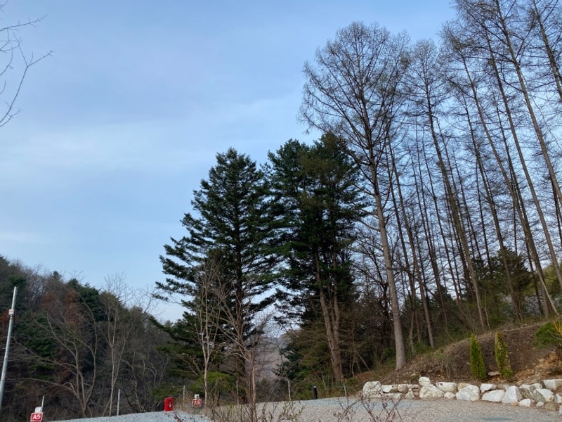 [내돈내산] 우니메이카 춘천 / 가평캠핑장추천 / 춘천캠핑추천...