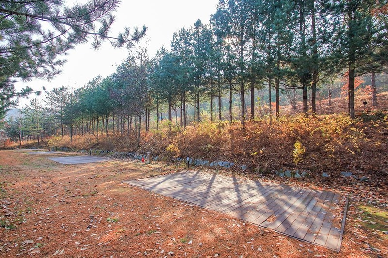 청송오토캠핑장 시설 사진 14