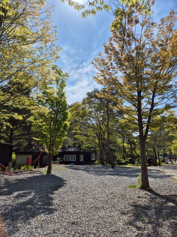 제천 드래곤 오토캠핑장