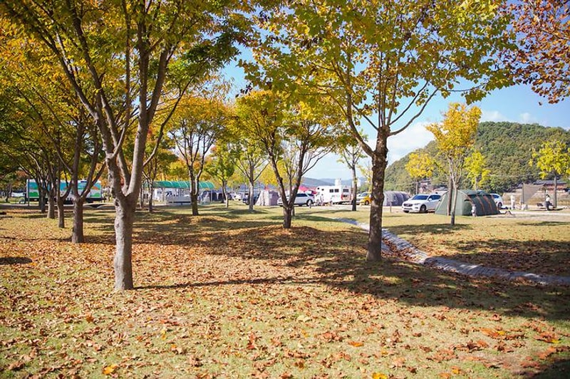 정양레포츠공원 오토캠핑장 대표 사진