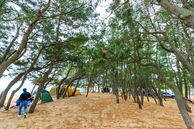 화진해수욕장 마을번영회 야영장 시설 사진 2