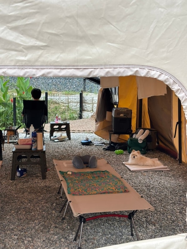 여주 캠퍼디 캠핑장 애견동반존 A-1 강아지와 여름 캠핑