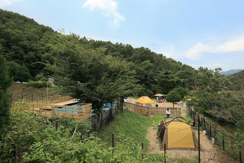 트리독스 애견전용캠핑장 시설 사진 2