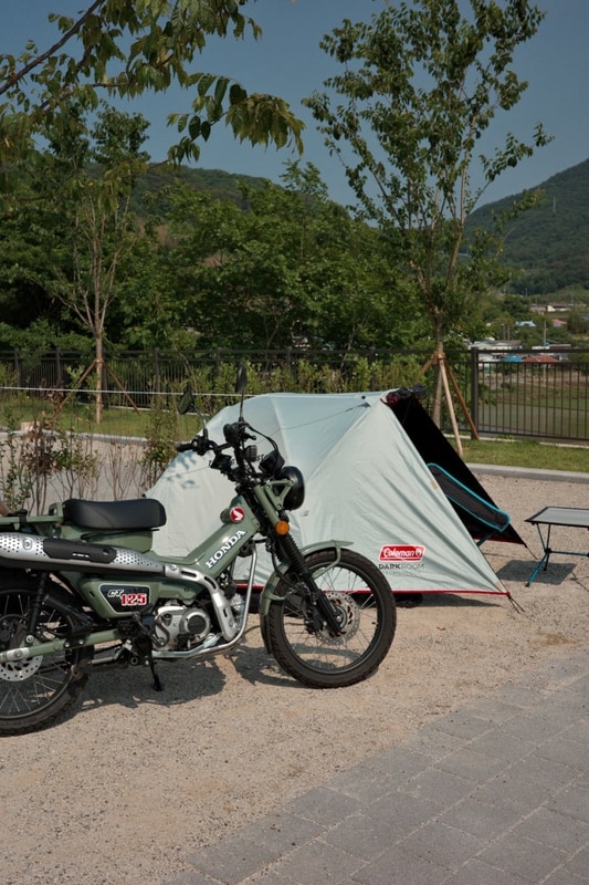 ️️삼할과 함께 남해 덕신야영장️️